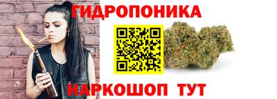 гидра Будённовск