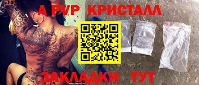 гидра Будённовск