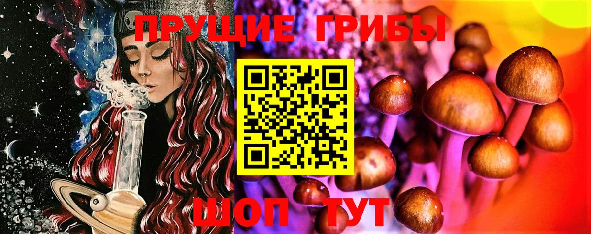 Сибай  Псилоцибиновые грибы прущие грибы  Вход с VPN  Псилоцибиновые грибы мухоморы 